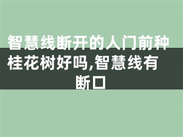 智慧线断开的人门前种桂花树好吗,智慧线有断口