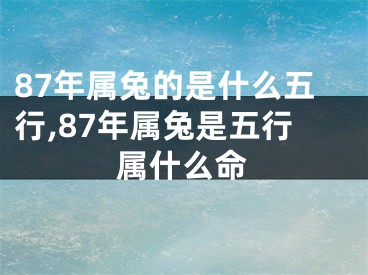 87年属兔的是什么五行,87年属兔是五行属什么命