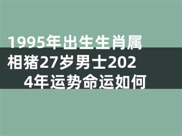 1995年出生生肖属相猪27岁男士2024年运势命运如何