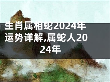 生肖属相蛇2024年运势详解,属蛇人2024年