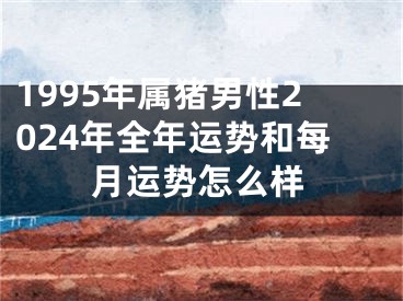 1995年属猪男性2024年全年运势和每月运势怎么样