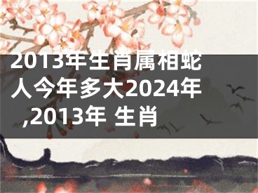 2013年生肖属相蛇人今年多大2024年,2013年 生肖