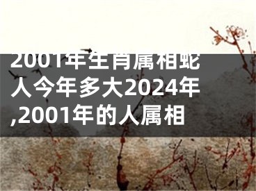 2001年生肖属相蛇人今年多大2024年,2001年的人属相