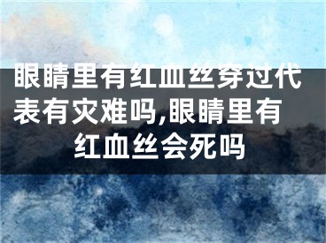 眼睛里有红血丝穿过代表有灾难吗,眼睛里有红血丝会死吗