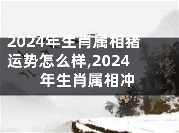 2024年生肖属相猪运势怎么样,2024年生肖属相冲