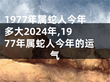 1977年属蛇人今年多大2024年,1977年属蛇人今年的运气