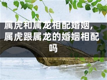 属虎和属龙相配婚姻,属虎跟属龙的婚姻相配吗