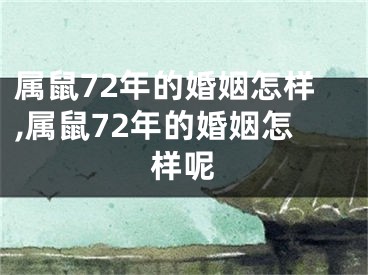 属鼠72年的婚姻怎样,属鼠72年的婚姻怎样呢