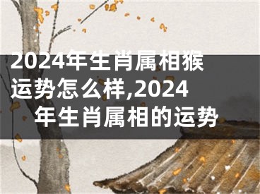 2024年生肖属相猴运势怎么样,2024年生肖属相的运势