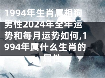 1994年生肖属相狗男性2024年全年运势和每月运势如何,1994年属什么生肖的属性