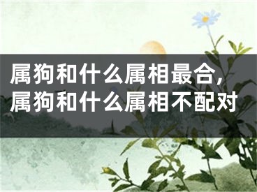 属狗和什么属相最合,属狗和什么属相不配对