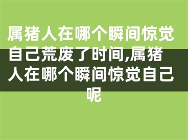 属猪人在哪个瞬间惊觉自己荒废了时间,属猪人在哪个瞬间惊觉自己呢