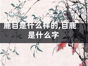 鹿目是什么样的,目鹿是什么字