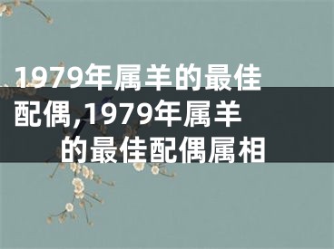 1979年属羊的最佳配偶,1979年属羊的最佳配偶属相