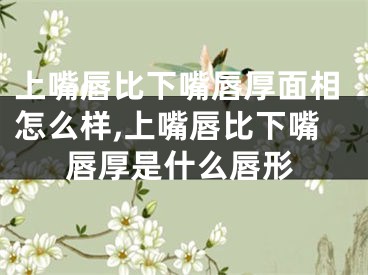 上嘴唇比下嘴唇厚面相怎么样,上嘴唇比下嘴唇厚是什么唇形