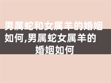 男属蛇和女属羊的婚姻如何,男属蛇女属羊的婚姻如何