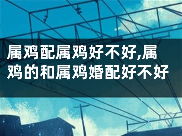 属鸡配属鸡好不好,属鸡的和属鸡婚配好不好