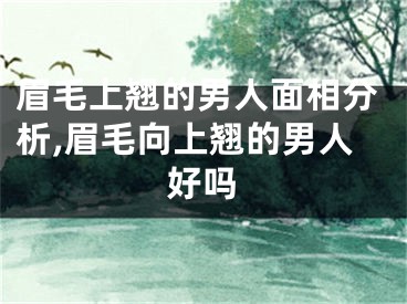 眉毛上翘的男人面相分析,眉毛向上翘的男人好吗