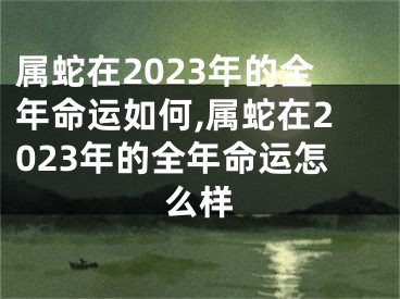 属蛇在2023年的全年命运如何,属蛇在2023年的全年命运怎么样