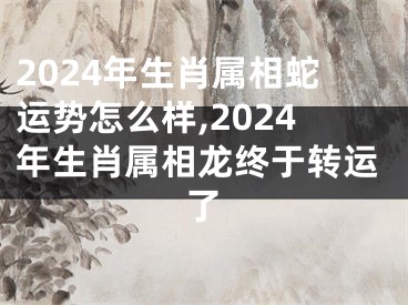 2024年生肖属相蛇运势怎么样,2024年生肖属相龙终于转运了