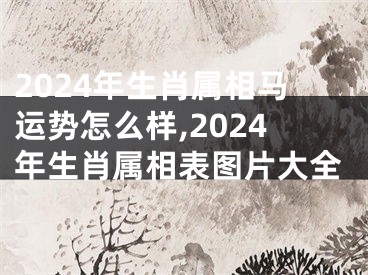 2024年生肖属相马运势怎么样,2024年生肖属相表图片大全