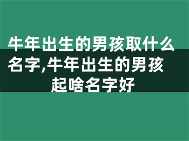 牛年出生的男孩取什么名字,牛年出生的男孩起啥名字好