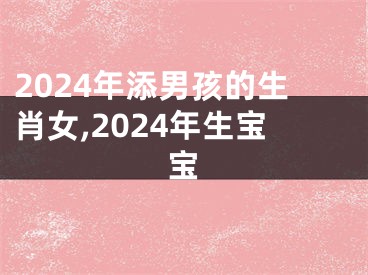 2024年添男孩的生肖女,2024年生宝宝