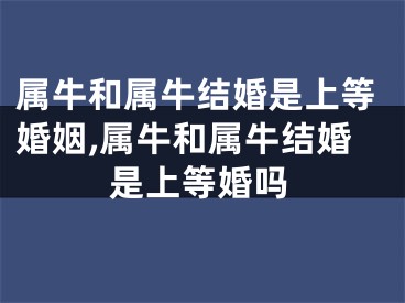 属牛和属牛结婚是上等婚姻,属牛和属牛结婚是上等婚吗