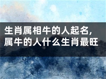 生肖属相牛的人起名,属牛的人什么生肖最旺