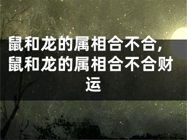 鼠和龙的属相合不合,鼠和龙的属相合不合财运