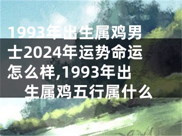 1993年出生属鸡男士2024年运势命运怎么样,1993年出生属鸡五行属什么