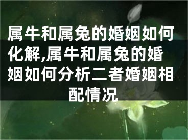 属牛和属兔的婚姻如何化解,属牛和属兔的婚姻如何分析二者婚姻相配情况