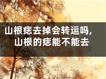 山根痣去掉会转运吗,山根的痣能不能去