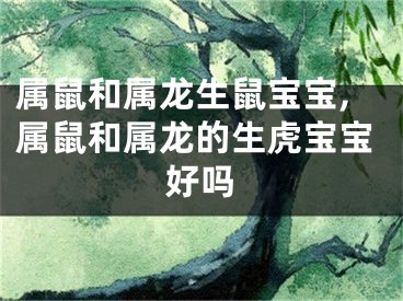 属鼠和属龙生鼠宝宝,属鼠和属龙的生虎宝宝好吗