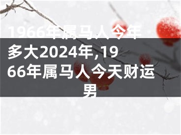 1966年属马人今年多大2024年,1966年属马人今天财运男