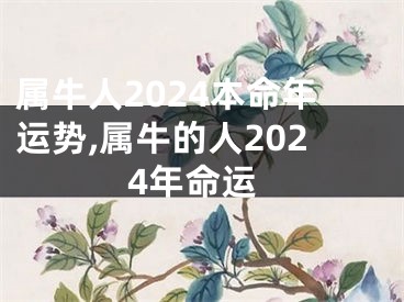 属牛人2024本命年运势,属牛的人2024年命运