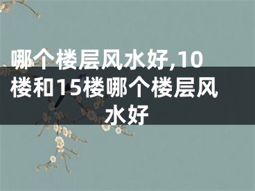 哪个楼层风水好,10楼和15楼哪个楼层风水好