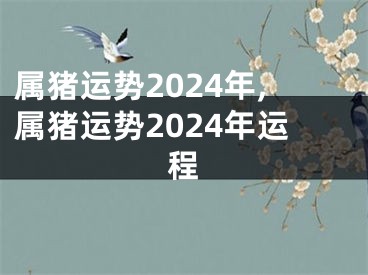 属猪运势2024年,属猪运势2024年运程