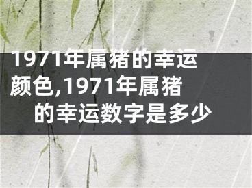 1971年属猪的幸运颜色,1971年属猪的幸运数字是多少