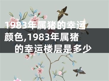 1983年属猪的幸运颜色,1983年属猪的幸运楼层是多少