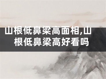 山根低鼻梁高面相,山根低鼻梁高好看吗