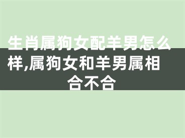 生肖属狗女配羊男怎么样,属狗女和羊男属相合不合