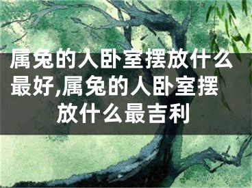 属兔的人卧室摆放什么最好,属兔的人卧室摆放什么最吉利