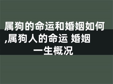 属狗的命运和婚姻如何,属狗人的命运 婚姻 一生概况