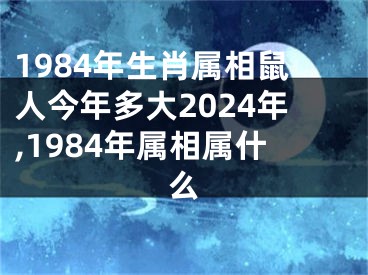 1984年生肖属相鼠人今年多大2024年,1984年属相属什么