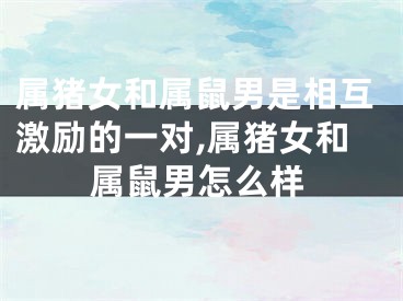 属猪女和属鼠男是相互激励的一对,属猪女和属鼠男怎么样