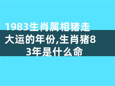 1983生肖属相猪走大运的年份,生肖猪83年是什么命