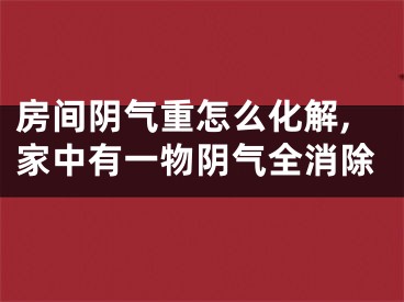 房间阴气重怎么化解,家中有一物阴气全消除