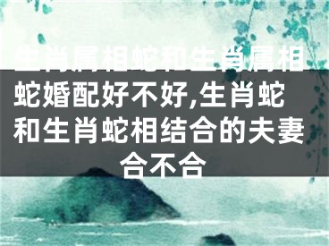 生肖属相蛇和生肖属相蛇婚配好不好,生肖蛇和生肖蛇相结合的夫妻合不合