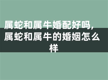 属蛇和属牛婚配好吗,属蛇和属牛的婚姻怎么样